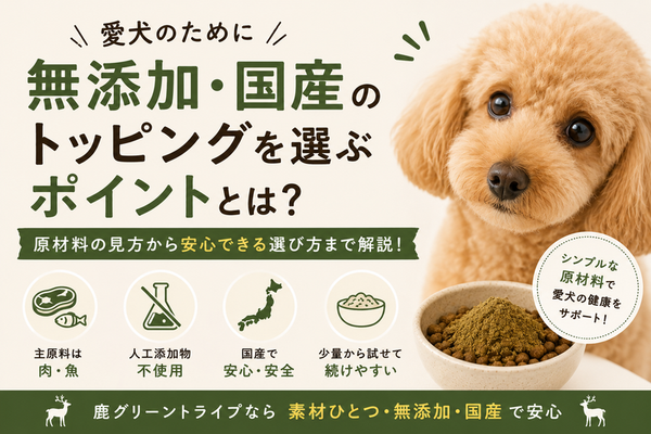 無添加・国産ドッグトッピングの選び方|安心できる原材料の見分け方