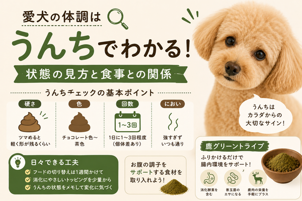 犬のうんちでわかる健康チェック|状態の見方と食事